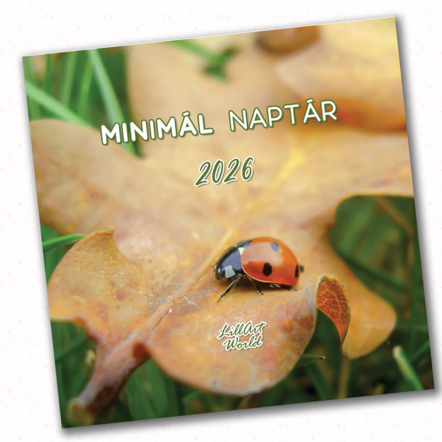 Minimál naptár 2026